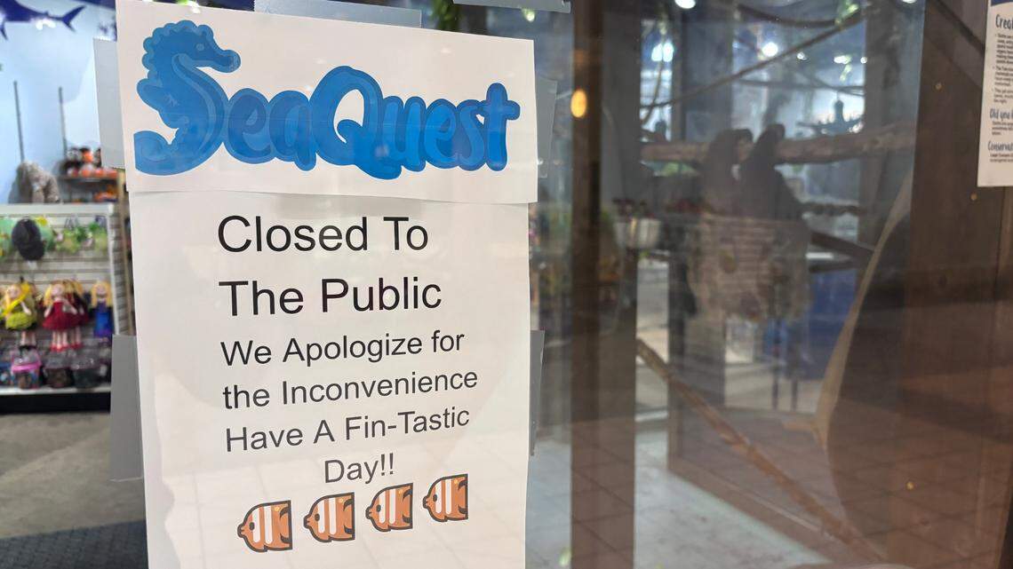A printed sign hangs on a glass door. Text at the top says SeaQuest in bubbly blue letters, and four clown fish swim beneath the text. Stuffed animals hang on a display in the gift shop beyond the door. 