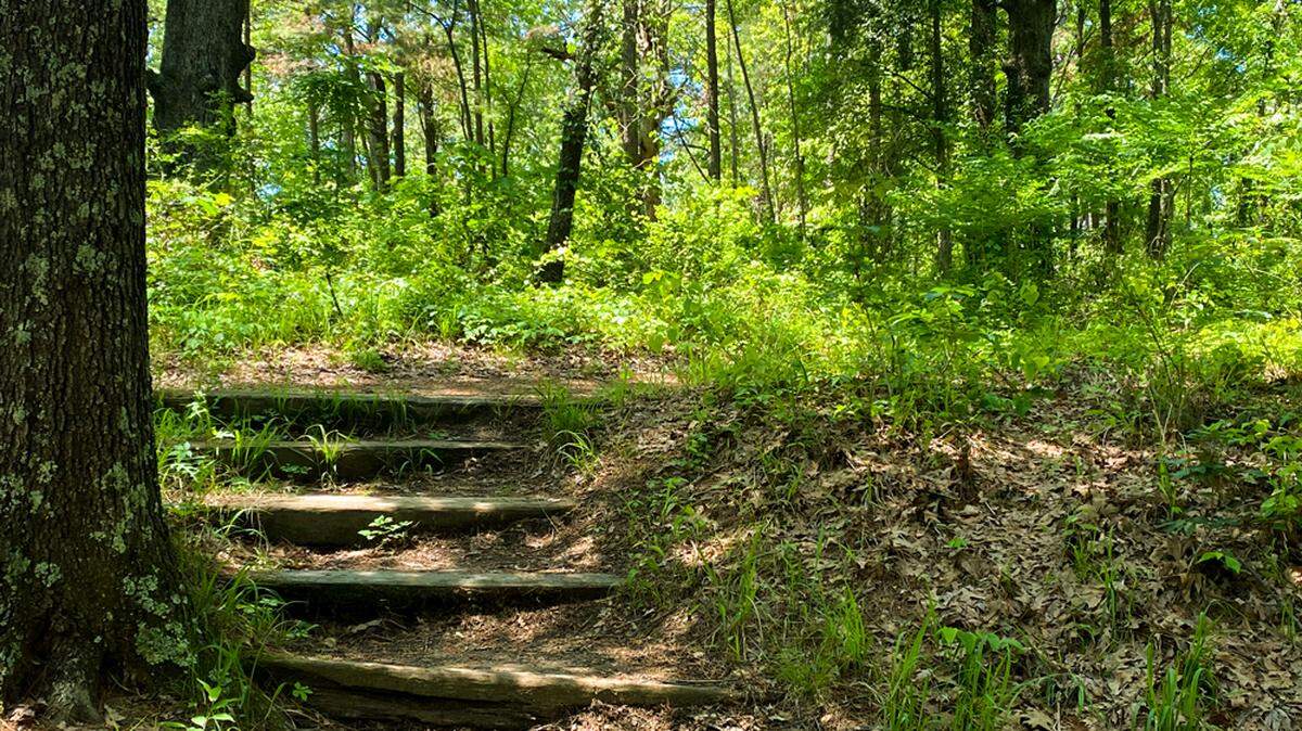 The Marvin Nichols Reservoir would consume at least 66,000 acres of heritage farmland, hardwood forest and wetlands in Northeast Texas.