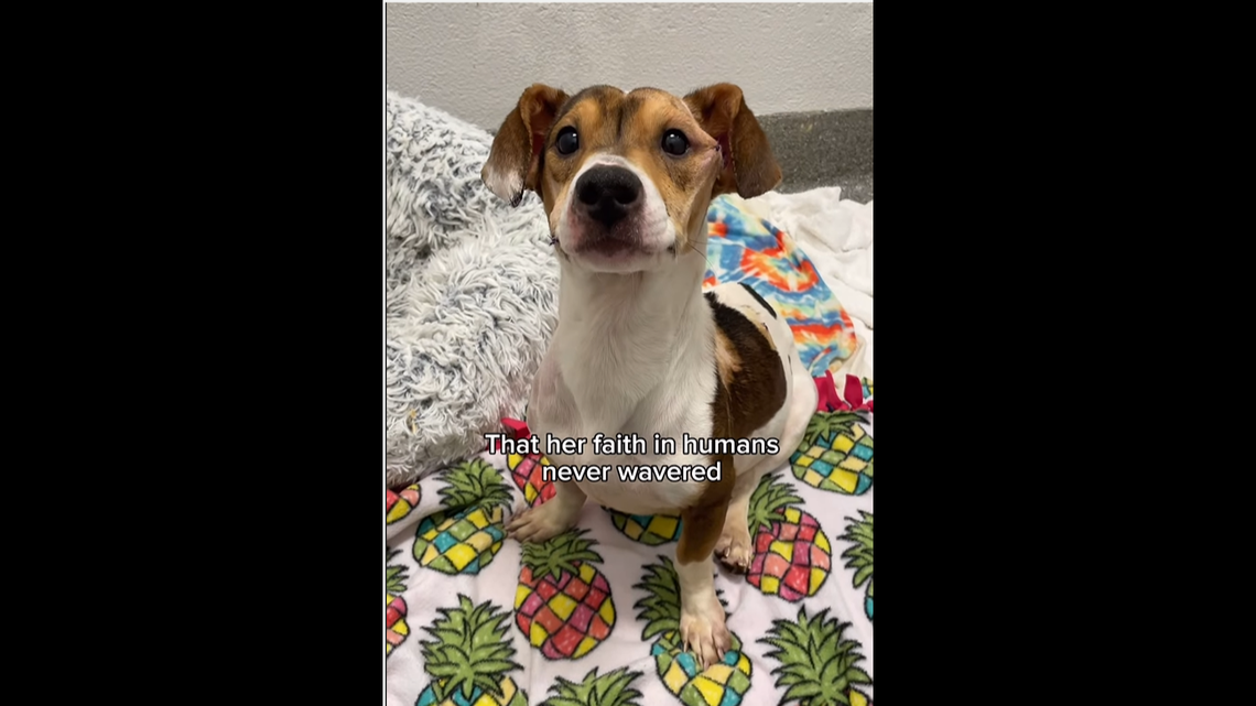 Despite her past, Yuki’s love for people never wavered.