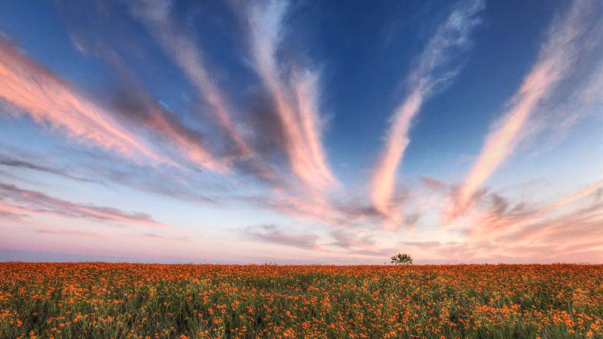 Along the Fort Worth Prairie, the sky is half the landscape.