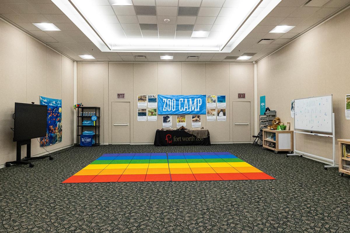 One of the rooms in the new Fort Worth Zoo Exploration & Learning Center on Thursday, May 30, 2024.