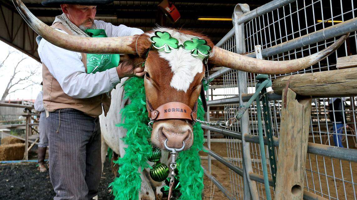Green beer. Parades. Here's where to go for St. Patrick's Day in Dallas-Fort Worth