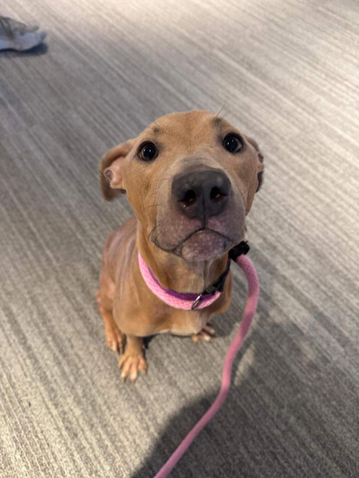 Honey, feeling much better.