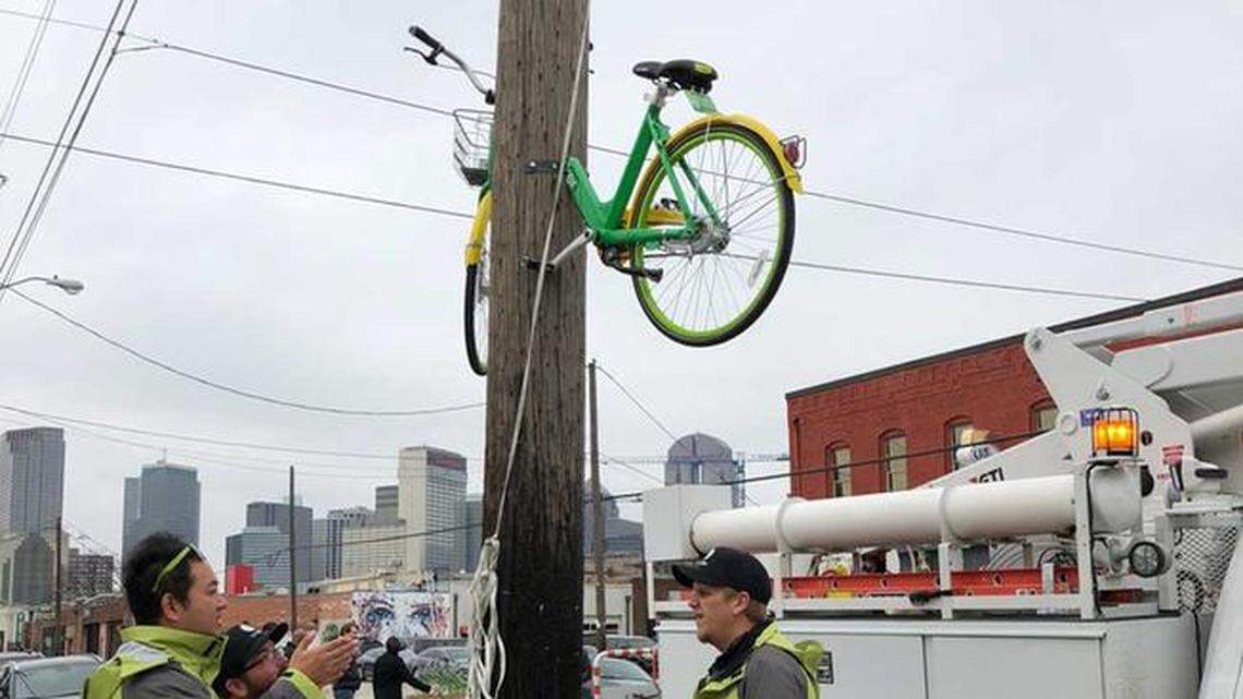 LimeBike personnel and Dallas utilities workers were dispatched Friday to take down a shared bike that had been sawed in half and attached to a telephone pole in Deep Ellum.