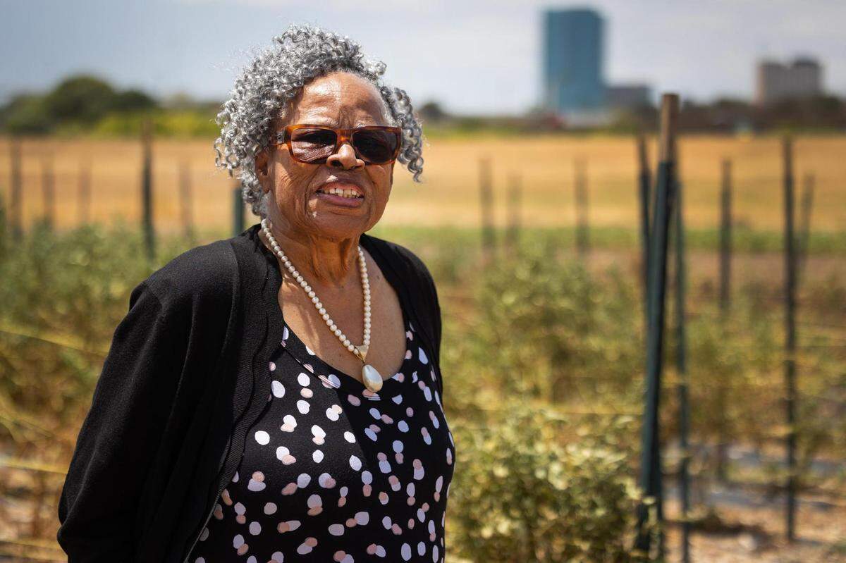 Opal Lee walks near the rows of vegetables planted at Opal’s Farm Aug. 10, 2022, in Fort Worth. The farm is located along the Trinity River and provided through a special permit by the Tarrant Regional Water District.