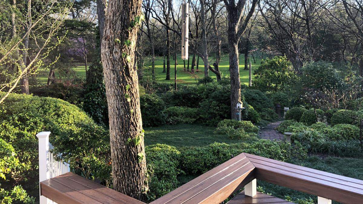 Vigorous greening of the turf, and breaking of buds on ginkgo, tell us spring is upon us in the Sperry landscape.