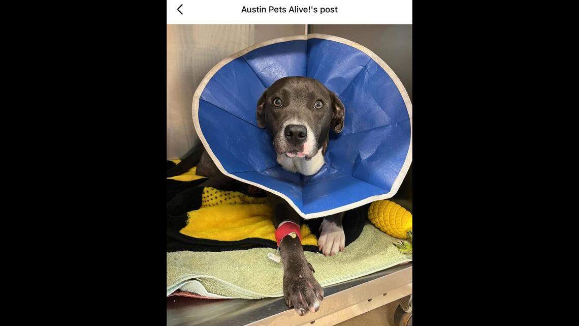 The sweet girl is on the mend.