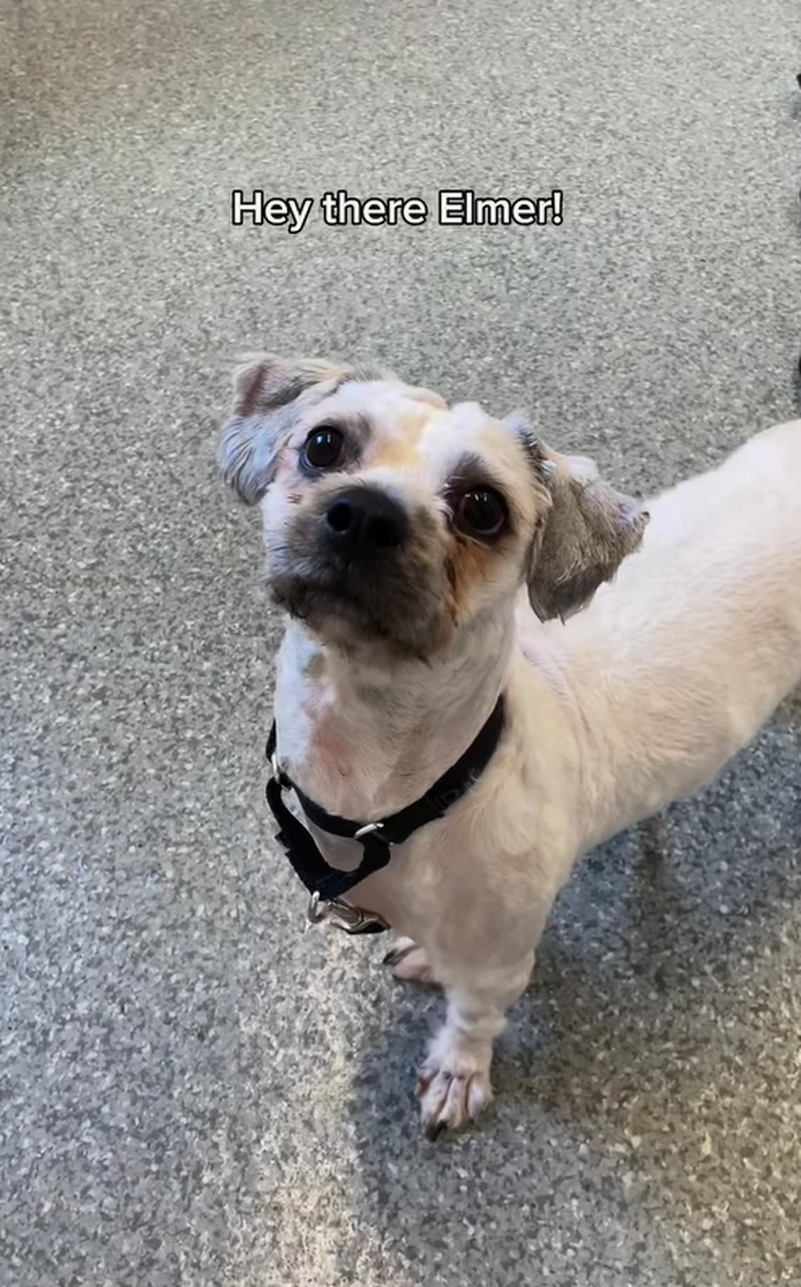 “So fresh and so clean, clean”