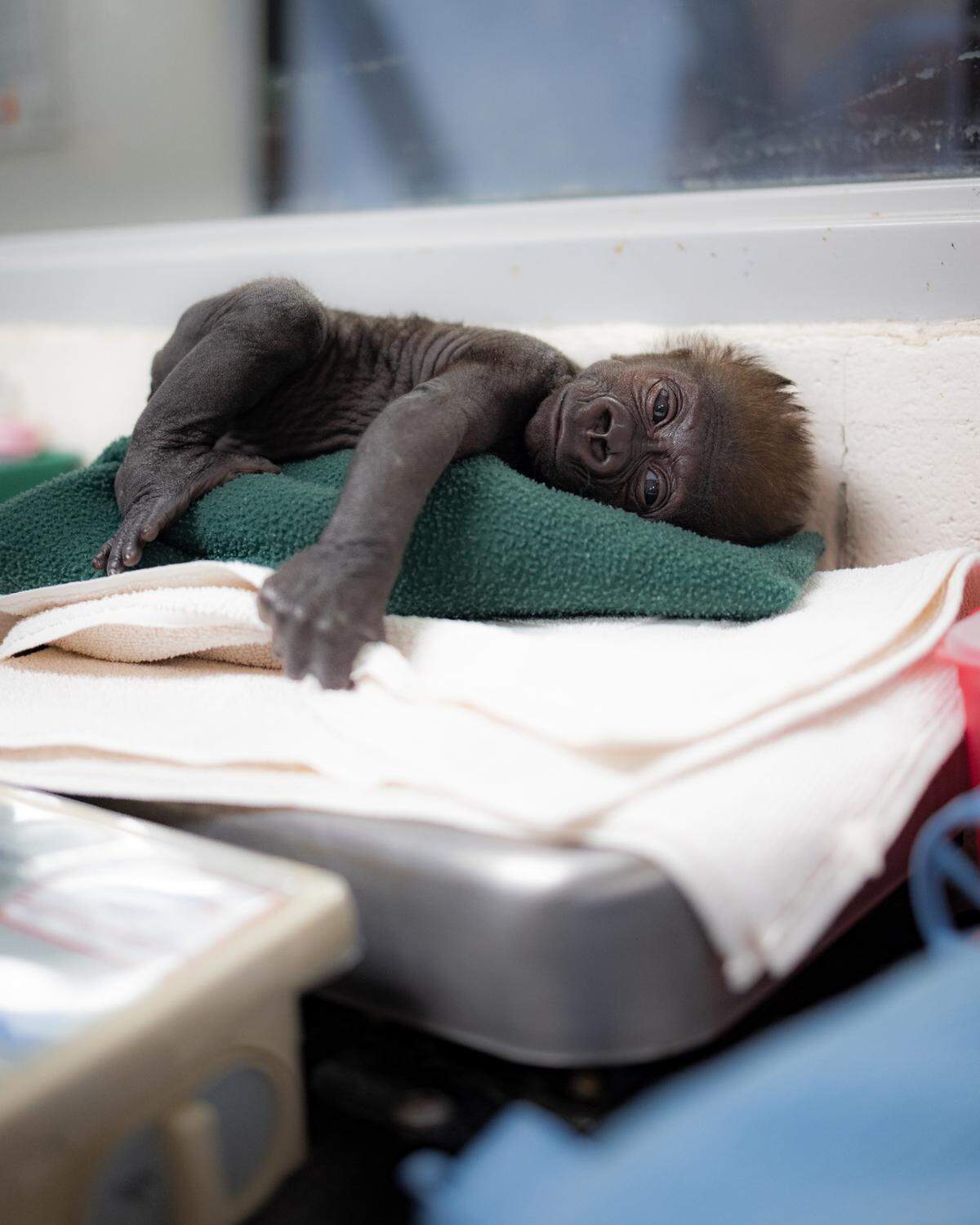 Jameela gets her weight checked on Feb. 12. Regular weight checks are vital to monitor the infant’s growth.