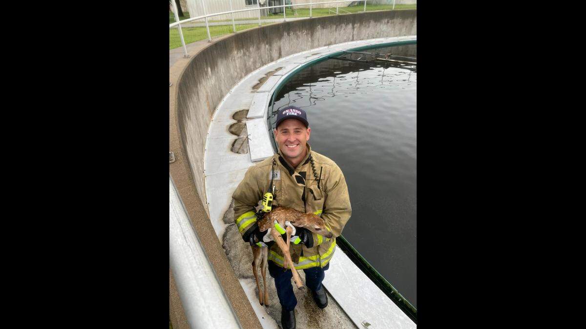 A firefighter from the Owasso Fire Department in Oklahoma holds up the saved baby deer.
