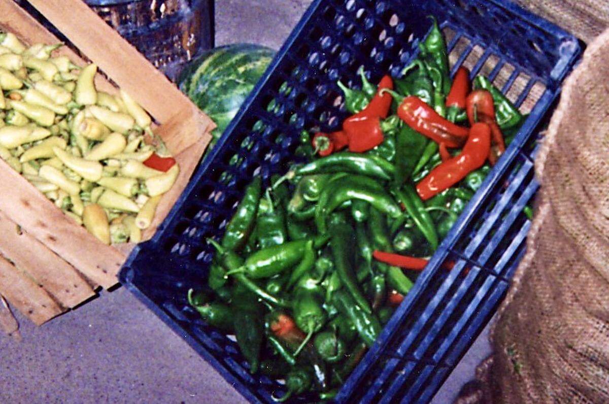 Chiles for sale at a Hatch, New Mexico roadside stand.
