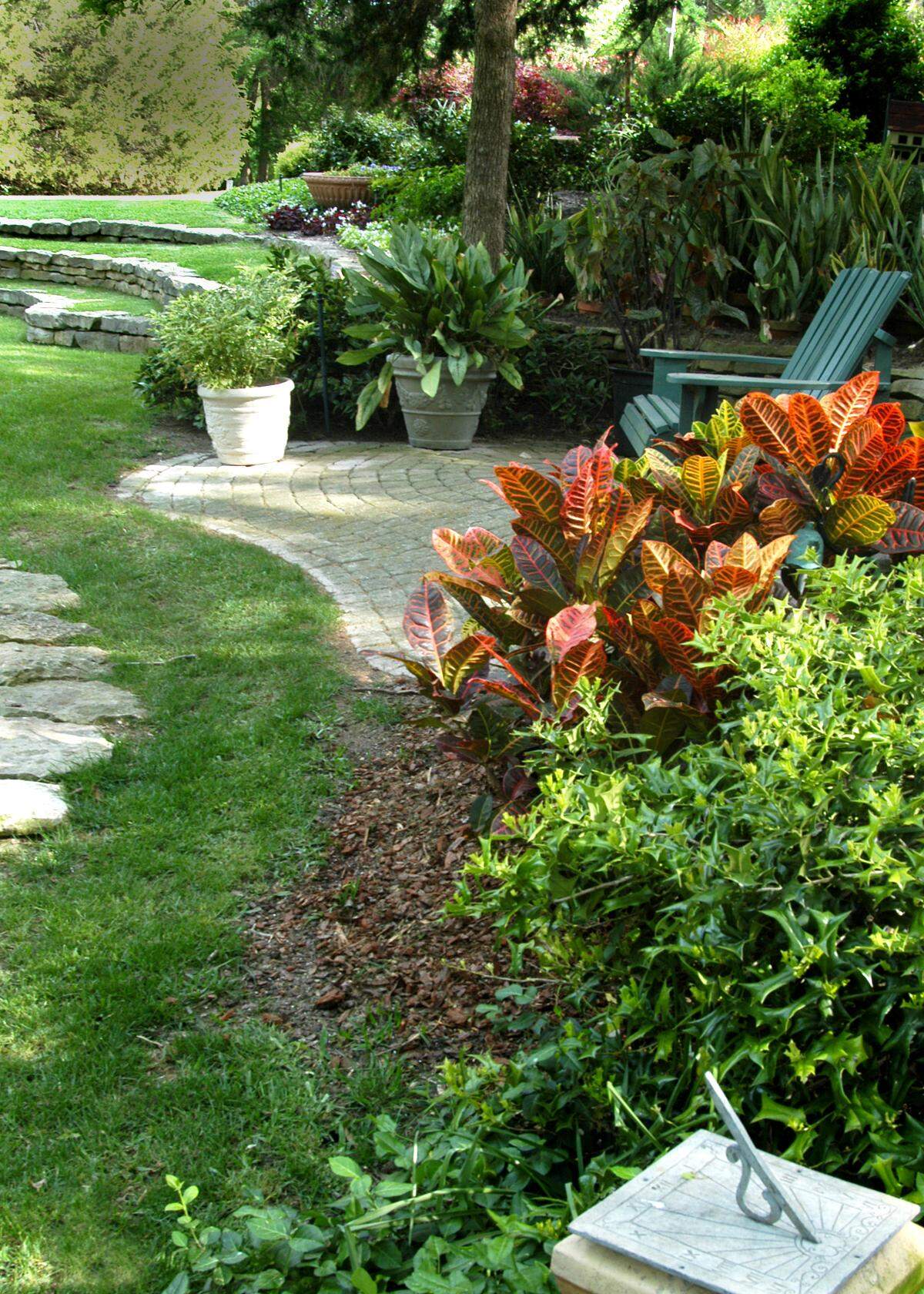 If grass is thinning, consider enlarging beds with shade-tolerant groundcover.