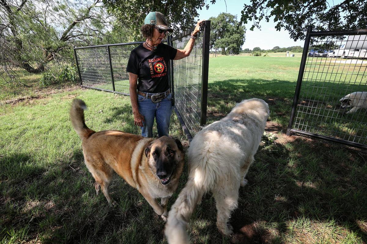 Granbury resident Cheryl Shadden walks her property with her dogs on Wednesday, May 29, 2024. Shadden recently had a hearing with the Hood Central Appraisal District to protest her property tax due to the noise produced by the bitcoin mining facility located next to her. “My property has been devalued fifty percent,” said Shadden.