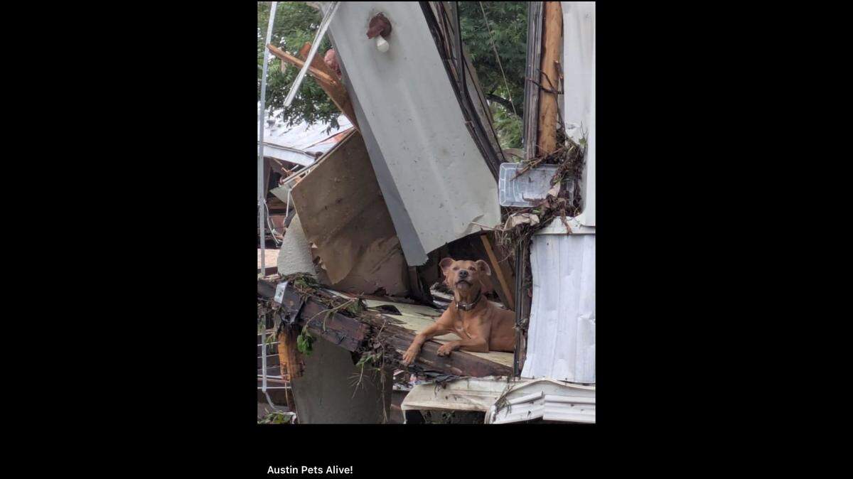Superman was found in debris after flooding tragically took the life of “his person.”