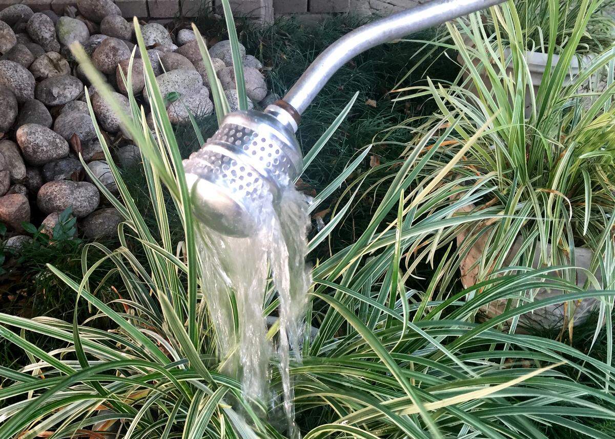 A water bubbler lets you irrigate at full volume without washing soil out of new plantings.