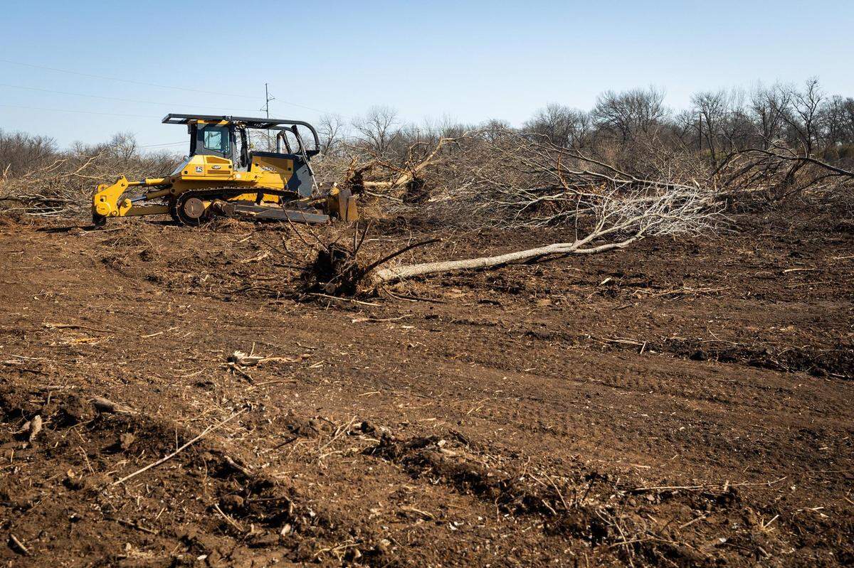 Family members work to remove trees and brush from a 85-acre farm in Burleson.