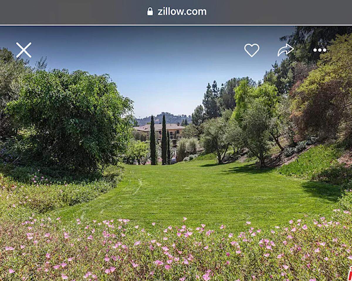 Grounds