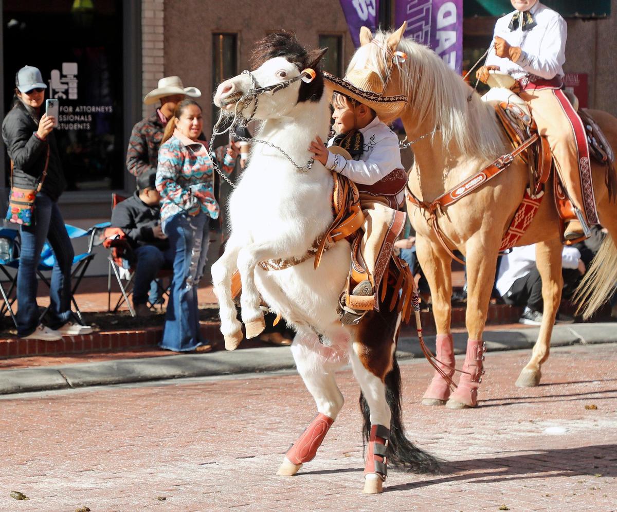 Riders old and young entertained the crowd during the 2023 Fort Worth Stock Show and Rodeo parade in downtown Fort Worth.