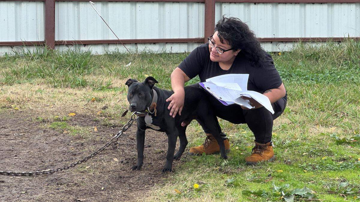 An SPCA official with one of the dogs found during an investigation in Kaufman County.