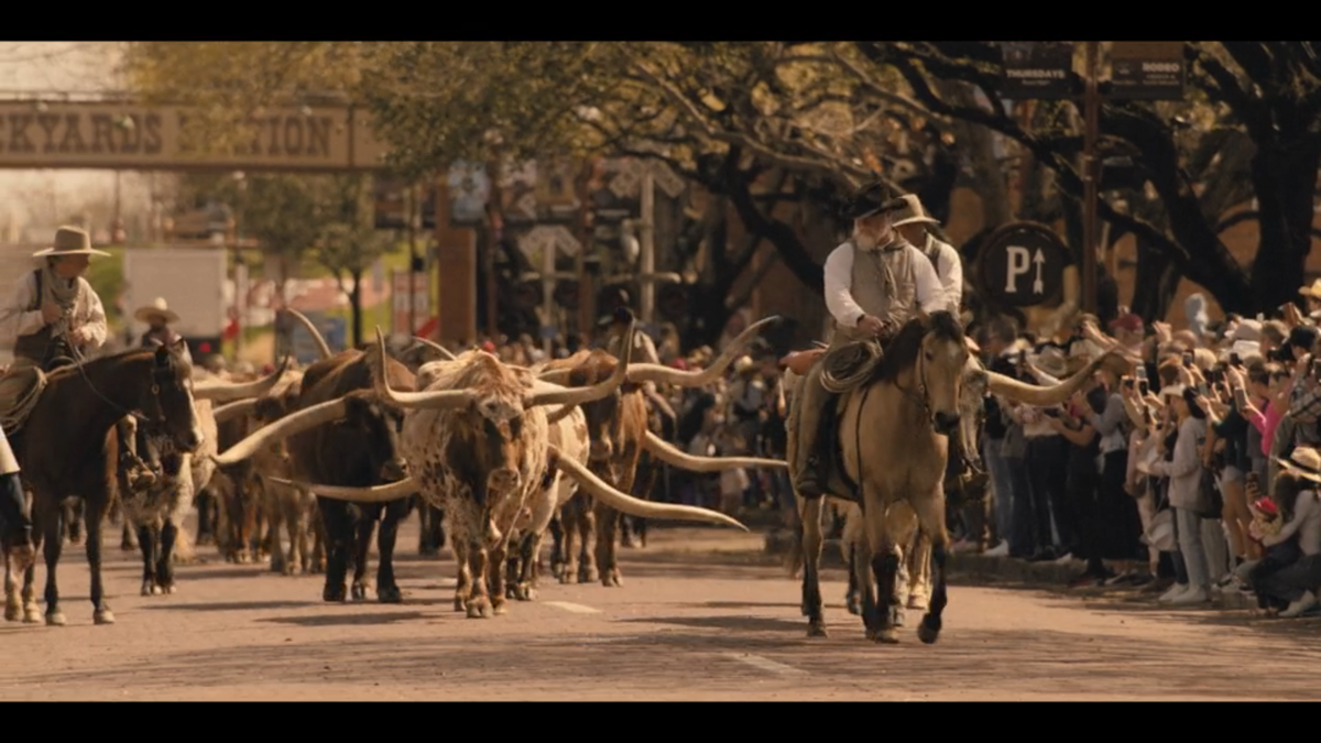 The Fort Worth Herd cattle drive seen in “Landman” episode six.