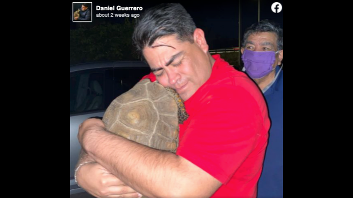 Daniel Guerrero was reunited with his pet tortoise Diego after he was missing for more than five weeks.