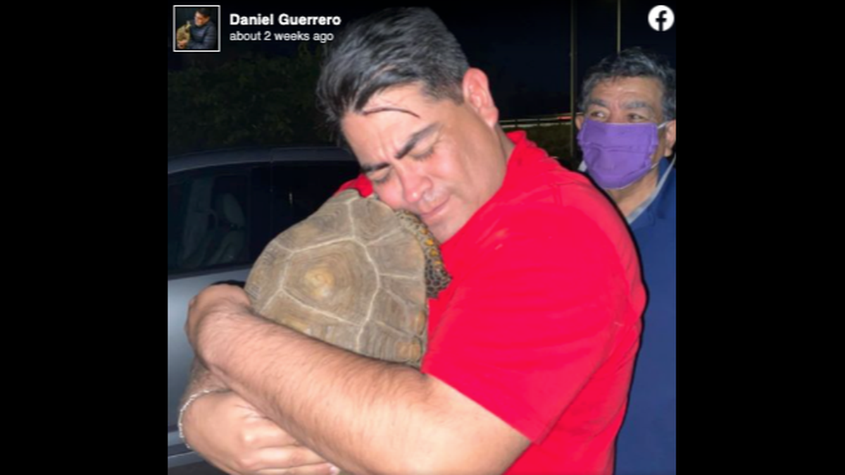 Daniel Guerrero was reunited with his pet tortoise Diego after he was missing for more than five weeks.