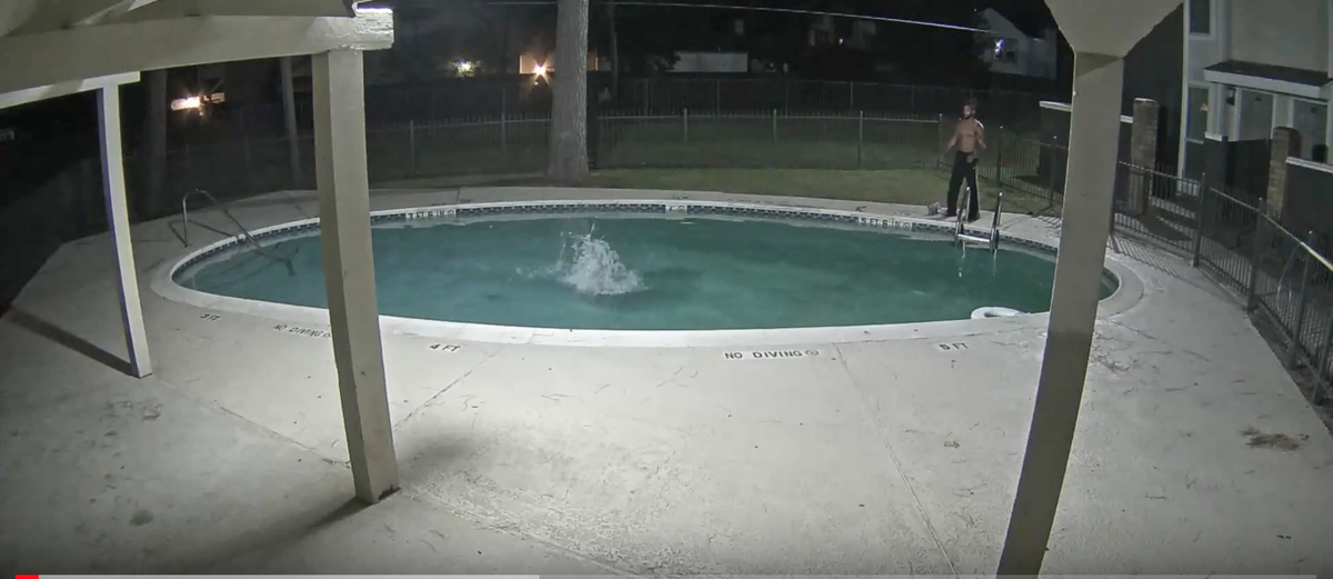 Police arrested Javonte Alexander, 22, after they say he was caught on video torturing a cat at a Texas apartment pool.