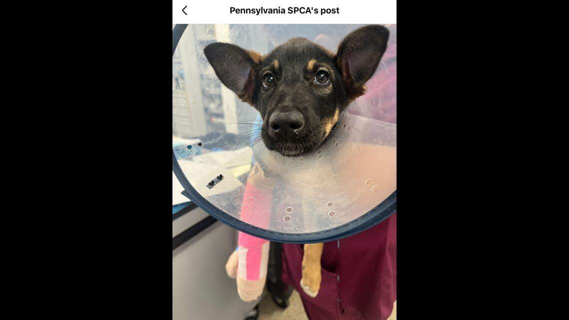 MJ after being rescued.