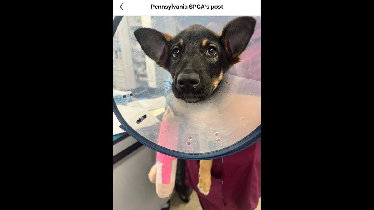 MJ after being rescued.
