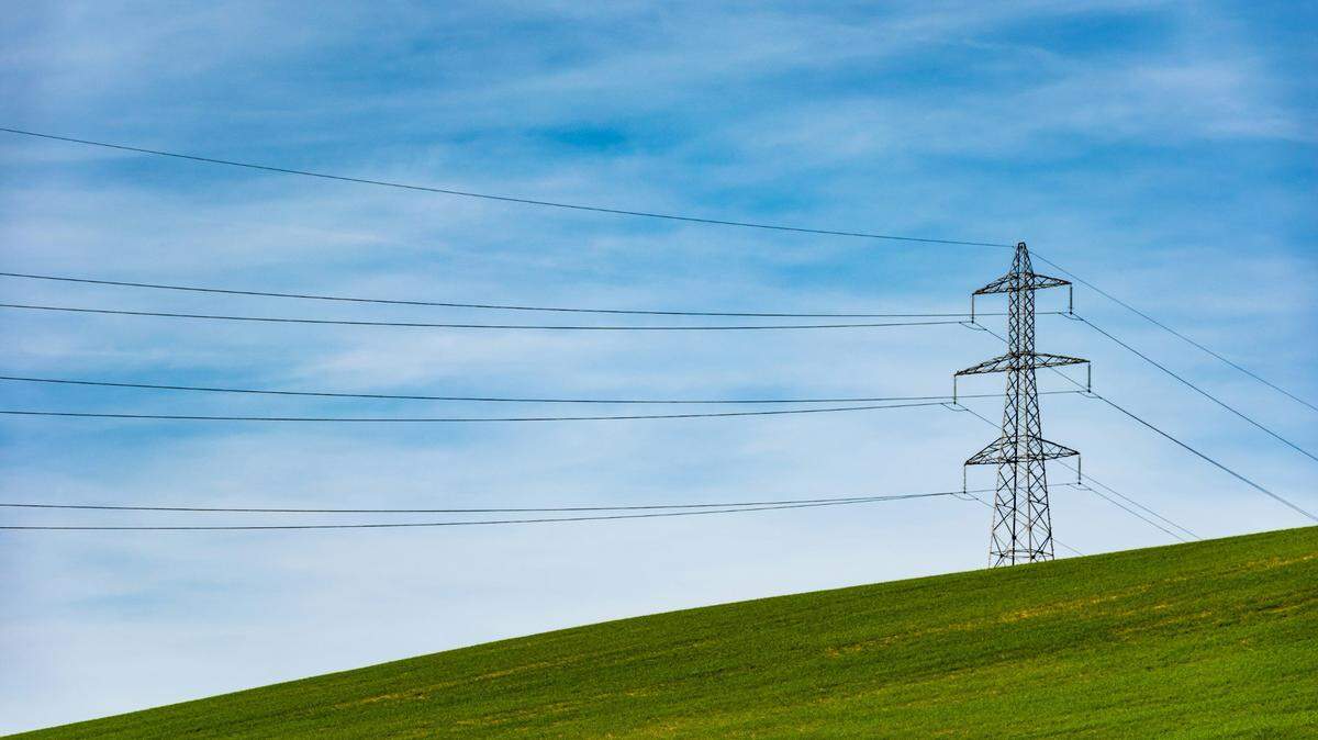 A downed power line fatally electrocuted one man and severely burned a 6-year-old boy and his grandmother, Texas cops said.