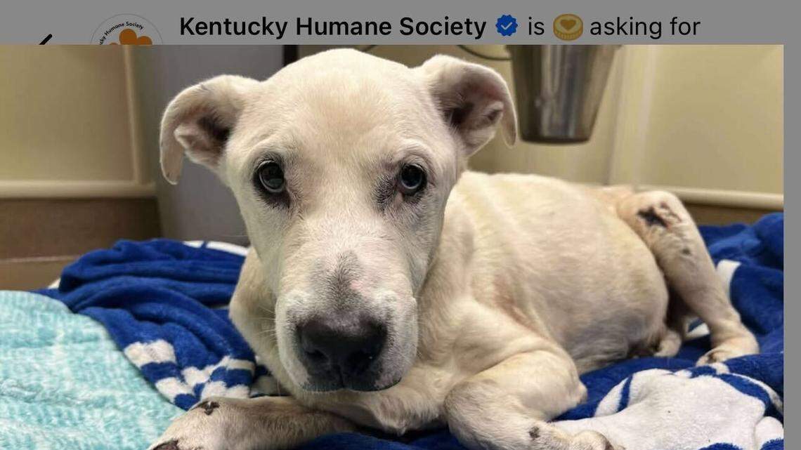 Iris and her sweet face.