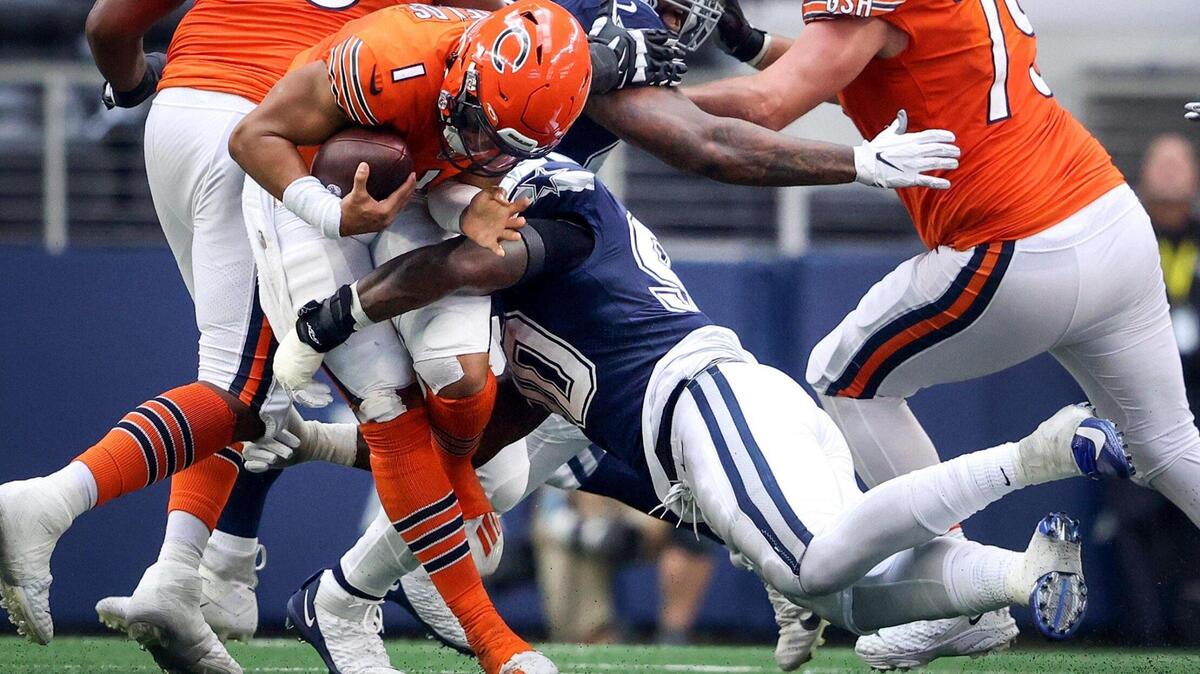 Dallas Cowboys defensive end DeMarcus Lawrence sacks Chicago Bears quarterback Justin Fields on Sunday, October 30, 2022, at AT&T Stadium in Arlington.