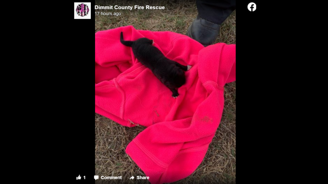 First responders rescued a trio of puppies trapped in a drainage pipe in Dimmit County, Texas.