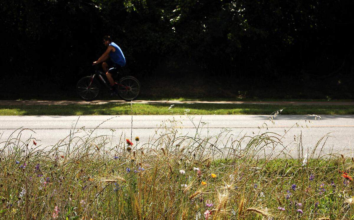 A bicyclist rides down a path at River Legacy Park in Arlington on Friday, May 22, 2020.