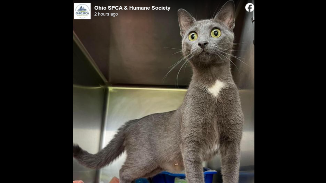 Fruit Basket appears to have seen some things in her life.