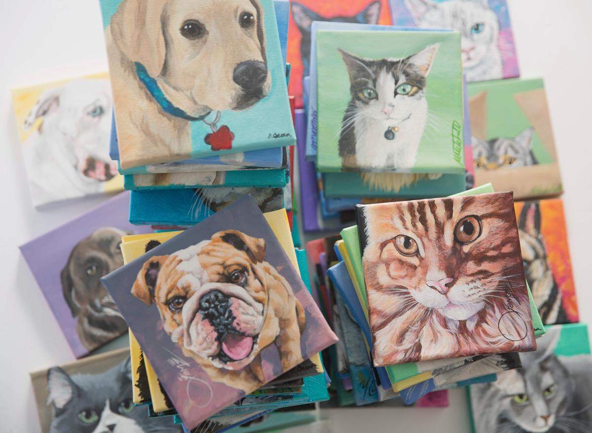 Pet portraits