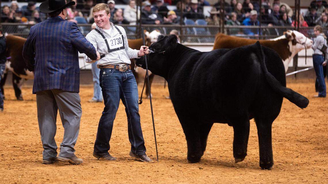 Winning bids for Fort Worth stock show champion steers have ballooned in 20 years