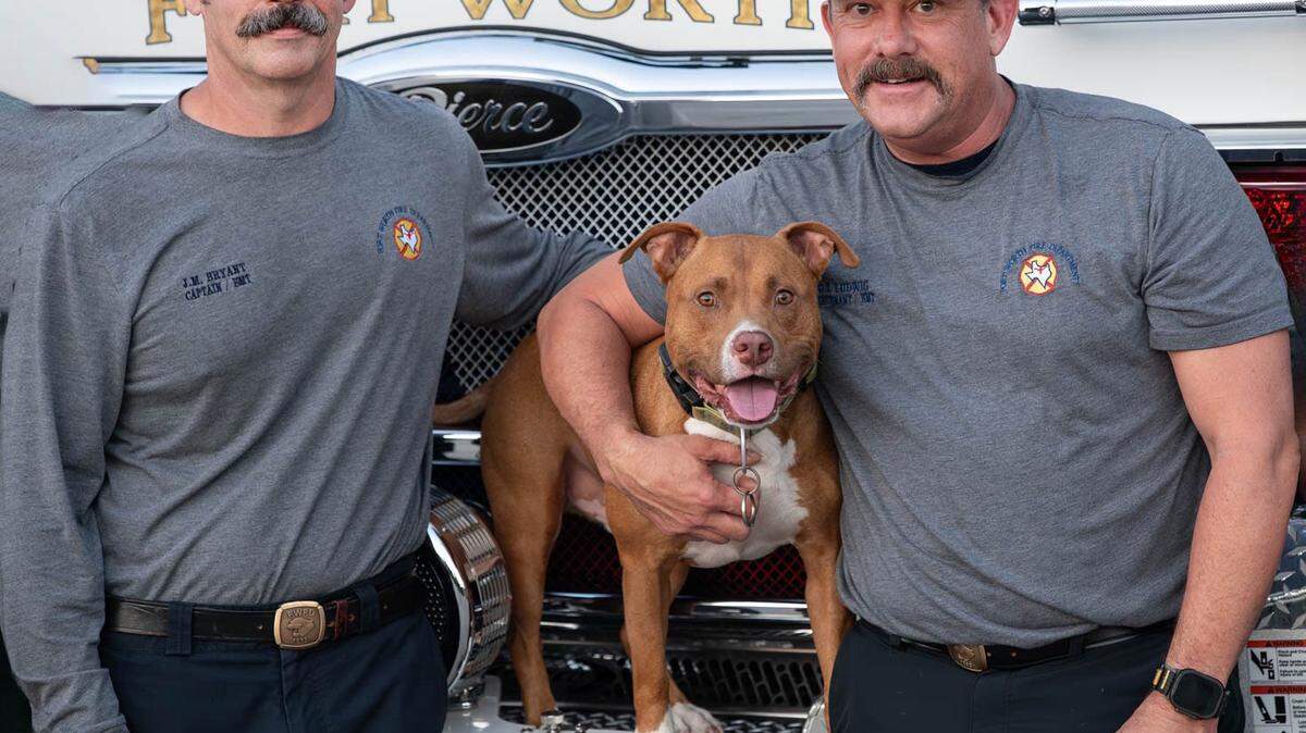 Fort Worth firefighters at Station 8 have adopted Jake the pit bull after his owner, a disabled veteran named Tom, left him tied outside with a note saying he could no longer care for the dog.