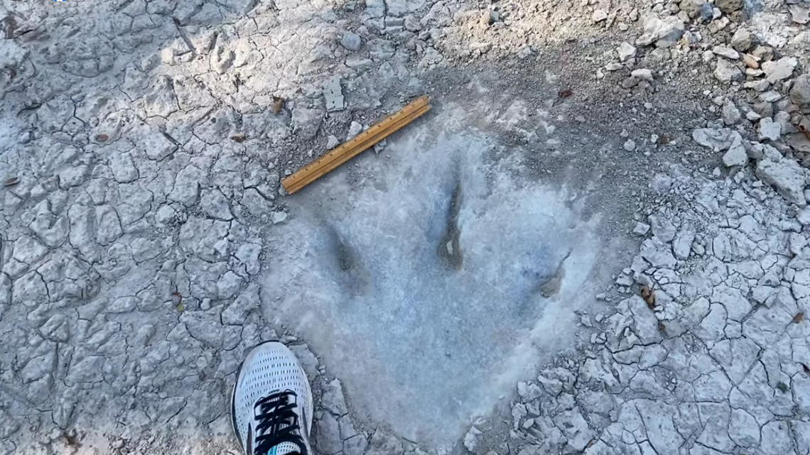 Dinosaur prints at the bottom of a riverbed in Texas have been uncovered amid extreme drought.
