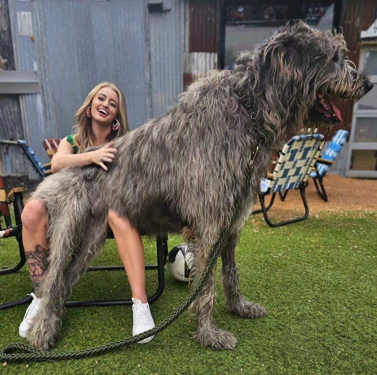 Haley with her dog Finley, a six-year-old 235-pound Irish Wolfhound.