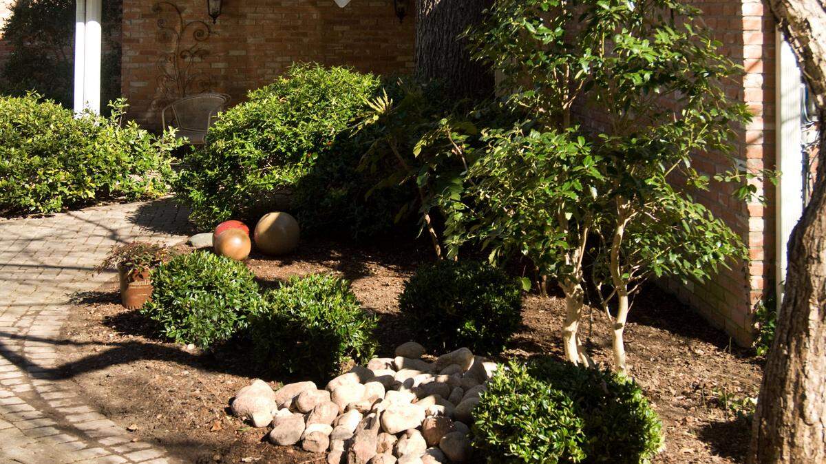 Winter is the time to plan your landscape improvements.