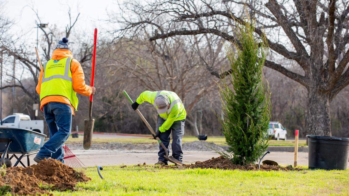Arlington celebrates its 150th birthday by planting investments across the city