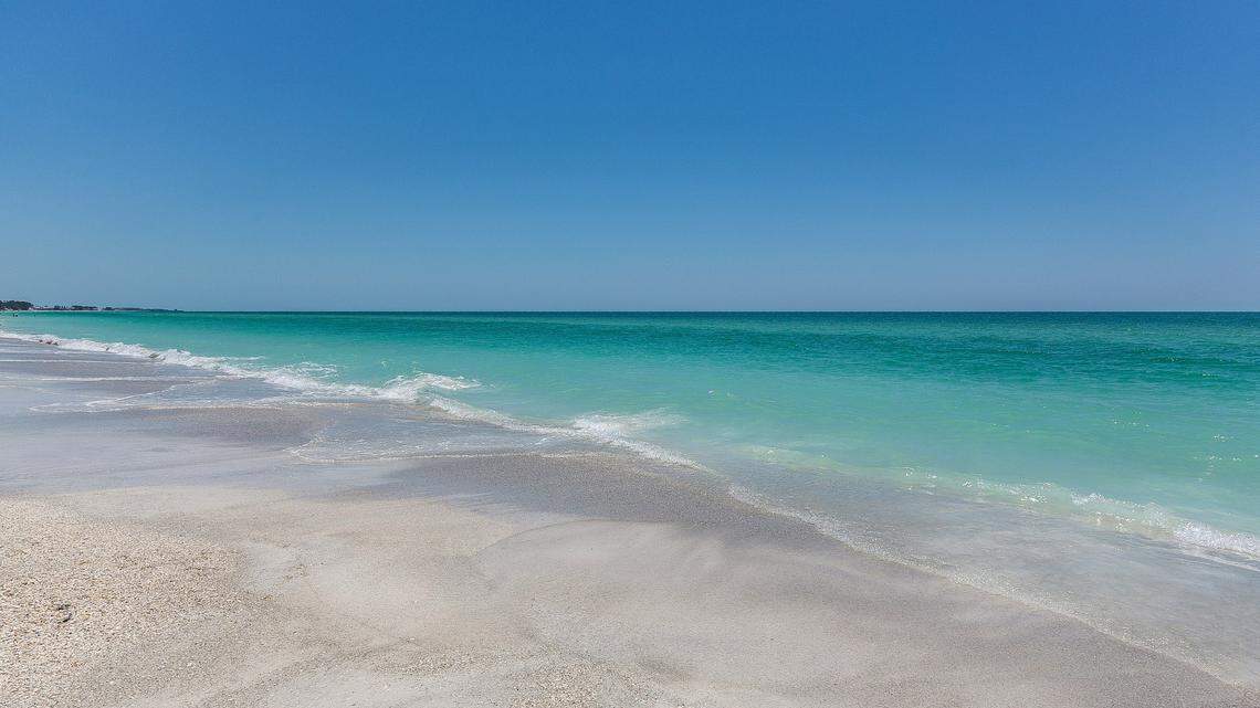 A ‘strange’ rock picked up off of a Texas coast almost 60 years ago turned out to be a fossil of an ‘extinct saber-toothed cat,’ researchers said.