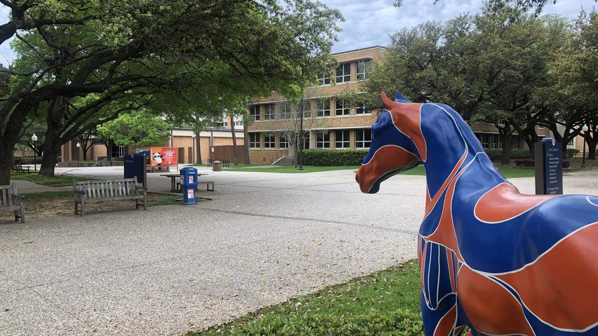 UT Arlington faculty members voice frustration over lack of high level Hispanic representation amidst presidential search.