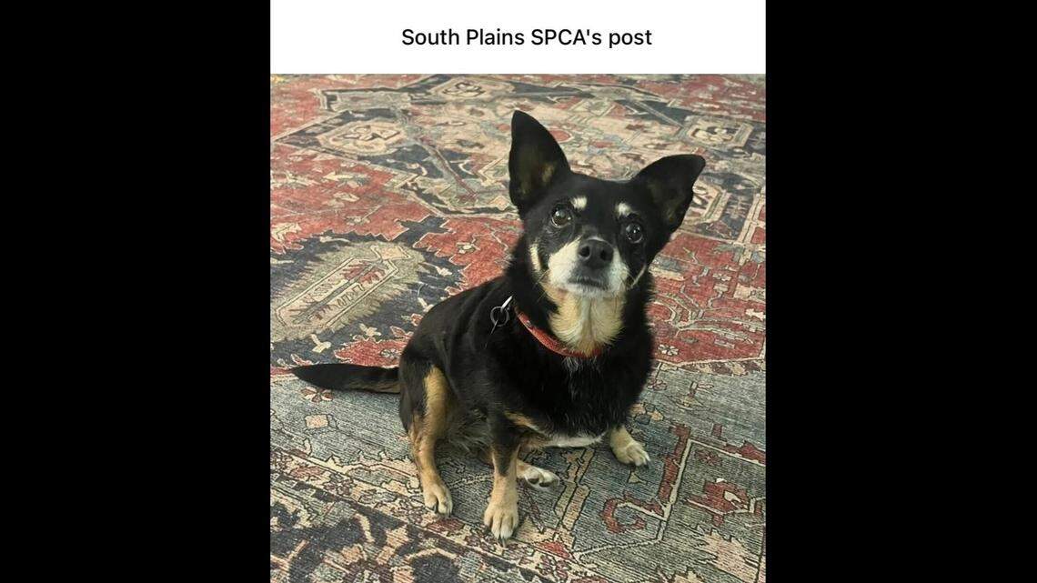 So innocent looking...