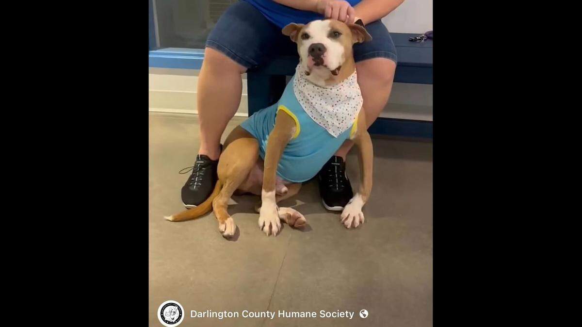 Headley awaits his new family in the lobby of the shelter