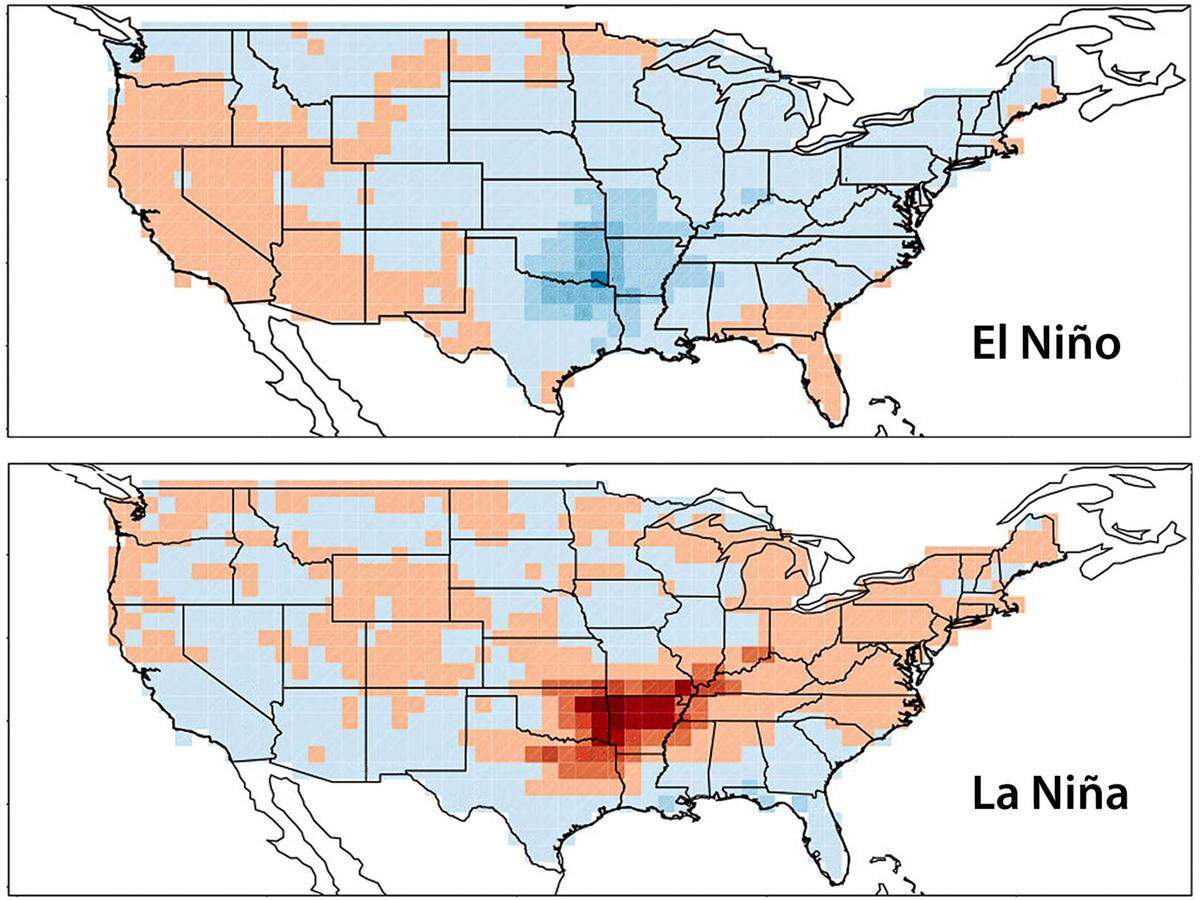 These maps, published in Nature Geoscience, contrast springtime tornadoes during El Niño (top) and its mirror, La Niña (bottom), with red denoting enhanced risk and blue showing diminished risk.