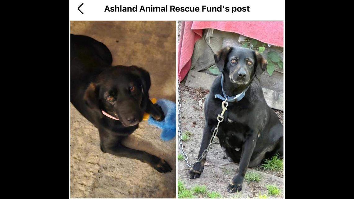 Hope in two elements.