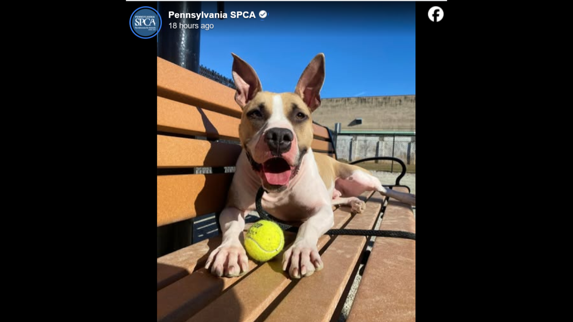 Paul, showing his playful side.