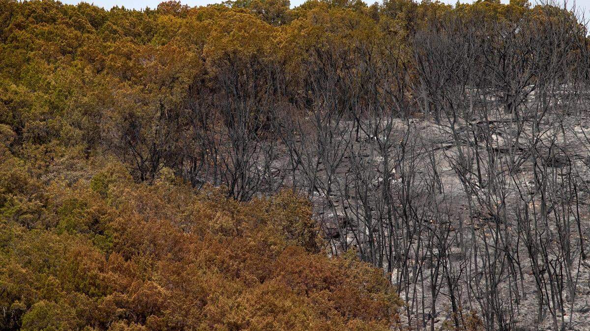 A line where a wildfire was contained near the coast of Possum Kingdom Lake in Graford, Texas, on Wednesday, July 20, 2022.